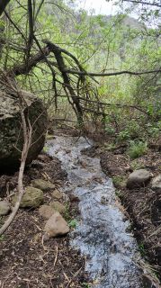 2024-01-GranCan-Barranco_de_los_Cernicalos-071.jpg